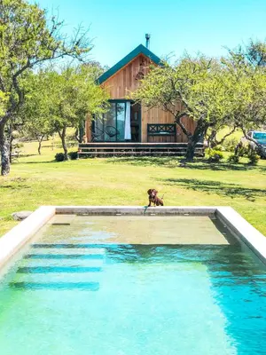 a dog sitting next to a pool in front of a house at Finca Granero in Potrero de Garay