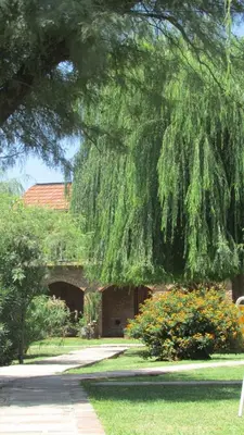 a large tree hanging over a sidewalk in a park at Hosteria de la Villa ** in Villa Cura Brochero
