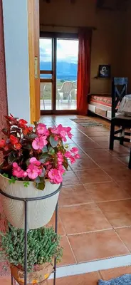 a planter with flowers in a room with a view at Cabaña Esquina Siracusa in Villa Yacanto