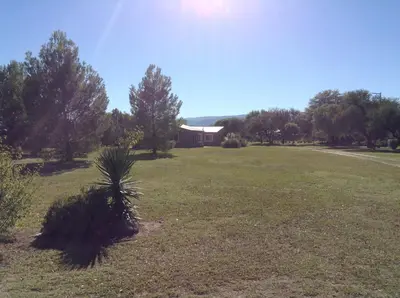 a palm tree in a field in front of a house at El Mirador de Nono in Nono
