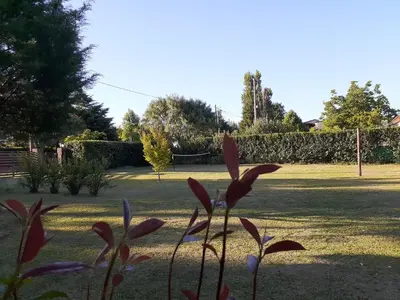 a plant with red flowers in the middle of a yard at Cabañas Ecos del Valle in Los Reartes