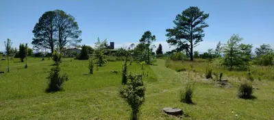 a field with trees and a path in the grass at Alas Mágicas in Villa Yacanto