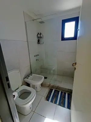a bathroom with a toilet and a shower and a sink at Alto Tucumán in Cordoba
