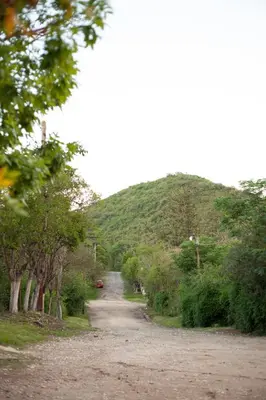 a dirt road with a mountain in the background at NIDO ARRIBA CABAÑAS in La Bolsa