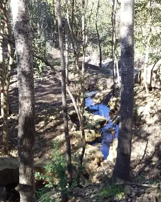 a stream in a wooded area with trees at Torito's House 2 in Tanti