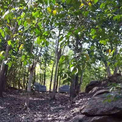 two benches sitting in a forest with trees at Torito's House 2 in Tanti