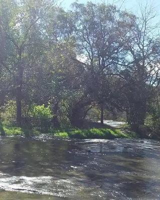 a painting of a river with trees in the background at Torito's House 2 in Tanti