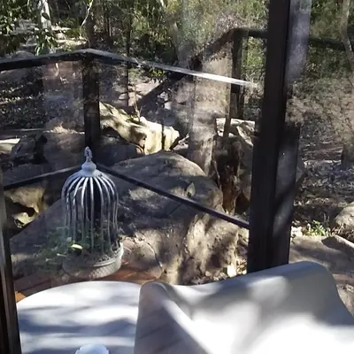 a view of a zoo with a bird cage at Torito's House 1 in Tanti