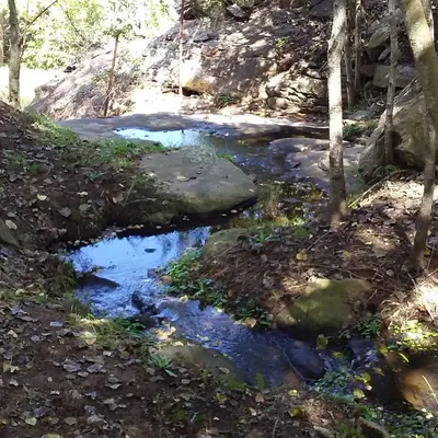 a stream in the woods with rocks and trees at Torito's House 1 in Tanti