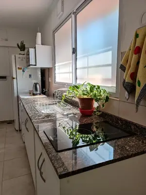 a kitchen with a counter top with a plant on it at AA Departamento Flat Premium Córdoba in Cordoba