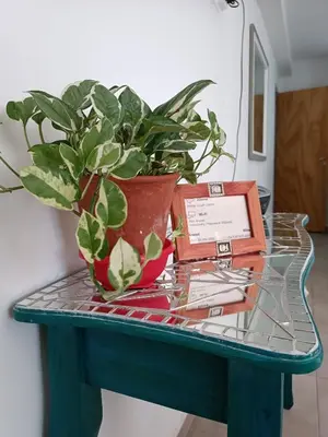 a table with two potted plants on top of it at AA Departamento Flat Premium Córdoba in Cordoba