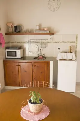 a kitchen with a table with a potted plant on it at COSTA COM Apart Suites in Merlo