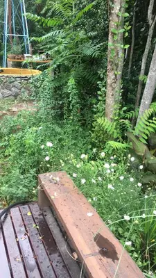 a wooden bench sitting in the middle of a forest at Monte in Los Manantiales