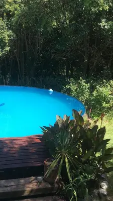 a blue swimming pool sitting next to a plant at Monte in Los Manantiales