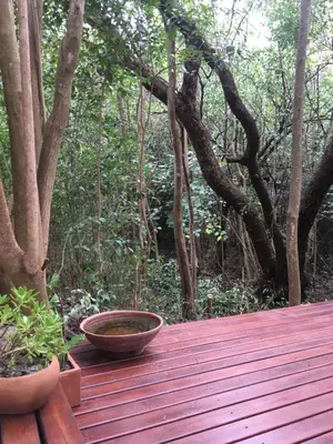 a wooden deck with two bowls on top of it at Monte in Los Manantiales