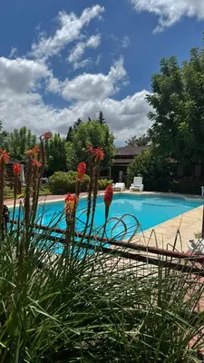 a view of a swimming pool with flowers in the foreground at Apart Cabañas Oasis del Valle in Villa Cura Brochero