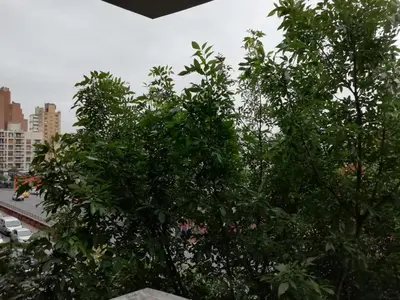a tree with green leaves on top of a building at Illía Residential Apartament in Cordoba