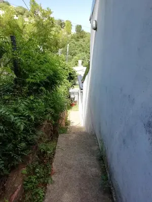 a side walk next to a white wall at Carlos Paz Colinas House in Villa Carlos Paz