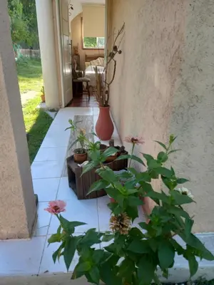 a porch with plants and a vase on the floor at MIRADOR DEL LAGO - La Vista in Villa Parque Siquiman