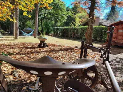 a bike seat sitting in a yard with a swing at Casa del arroyo in Villa General Belgrano