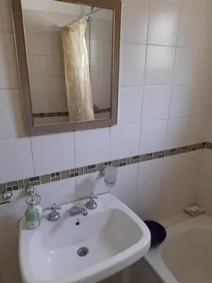 a bathroom with a sink and a mirror and a tub at Apartamentos Santa Rosa 1B in Cordoba