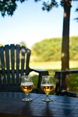 two glasses of wine sitting on a table at La Rosa Apart Hotel - Solo Parejas in Mina Clavero