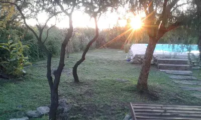 a group of trees with the sun shining through them at La Ecle in San Javier