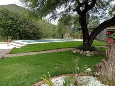 a yard with a tree and a swimming pool at APART CABAÑAs LOS COCKERS in Santa Rosa de Calamuchita