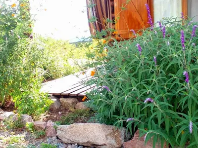 a garden with purple flowers and a wooden bench at Monte Sion cabañas & relax in San Javier
