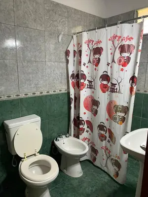 a bathroom with a toilet and a shower curtain at Cabañas Amore Mío in Mina Clavero