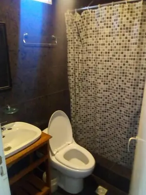 a bathroom with a toilet and a sink and a shower at LUMALU Deptos in Villa Cura Brochero