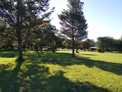 two trees in a field with green grass at El Campo Departamentos in Merlo