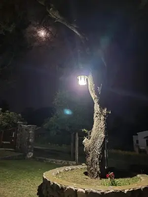 a tree with a light on top of it at El Remanso Estadia Minima 2 Noches in Cordoba
