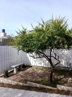 a tree and a bench in front of a fence at Complejo Quiya - Departamento Los Espinillos con hidromasaje in Alta Gracia