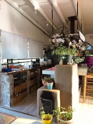 a large kitchen with potted plants on the counter at LOFT DE MONTAÑA -LaS RABONAS - PISCINA EXCLUSIVA in Las Rabonas