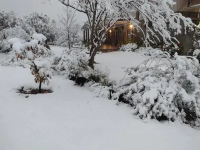 a yard covered in snow next to a house at LOFT DE MONTAÑA -LaS RABONAS - PISCINA EXCLUSIVA in Las Rabonas