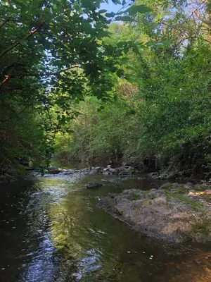 a river with trees and rocks in a forest at CABAÑAS FENIX con EL ARROYO AMBOY RODEANDO LA PROPIEDAD reservar con 24 hs de anticipación in Villa Amancay