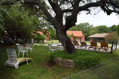 a group of chairs and a table under a tree at Cabañas La Curucucha in Nono