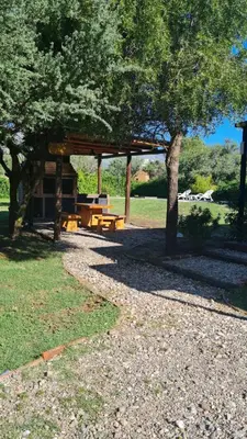 a picnic shelter with a picnic table under a tree at Altos de San Blas in San Javier
