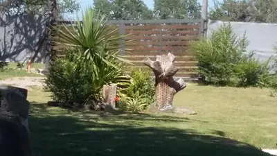 a garden with a tree stump in the yard at Melodias Posada Boutique in Los Reartes