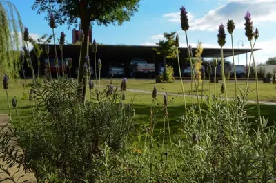 a field of grass with purple flowers in a park at Melodias Posada Boutique in Los Reartes