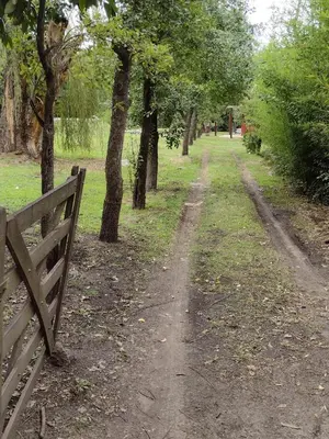 a bench in a park with trees and a path at El Manantial in La Población