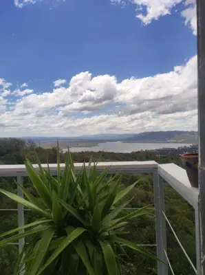 a view from the balcony of a house with a plant at TERRAZAS DE LA COMARCA in La Cuesta