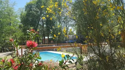 a swimming pool in a garden with trees and flowers at Cabañas El Druida in Villa General Belgrano