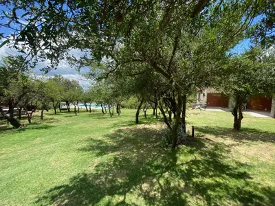 a group of trees in a field with green grass at Algarrobo Nieto in Merlo