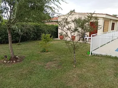 a small tree in the yard of a house at Cabaña El Canal II in Villa Carlos Paz