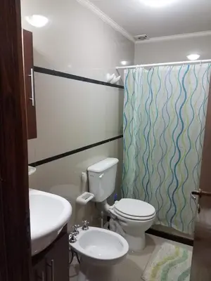 a bathroom with a toilet and a sink and a shower curtain at Departamento Villa Carlos Paz Miralejos 3 in Villa Carlos Paz