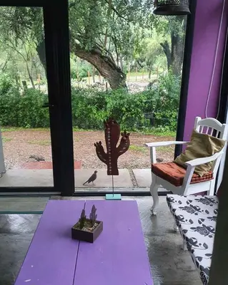a living room with a table and a cactus on the window at ASM CASA I in Merlo