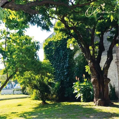 a tree in the grass next to a building at HOTEL OLIVIA in Mina Clavero