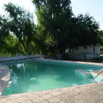 a swimming pool with green water in a yard at HOTEL OLIVIA in Mina Clavero